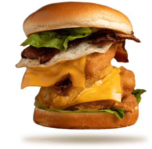 Order Our Delicious Burgers from Burger Plus